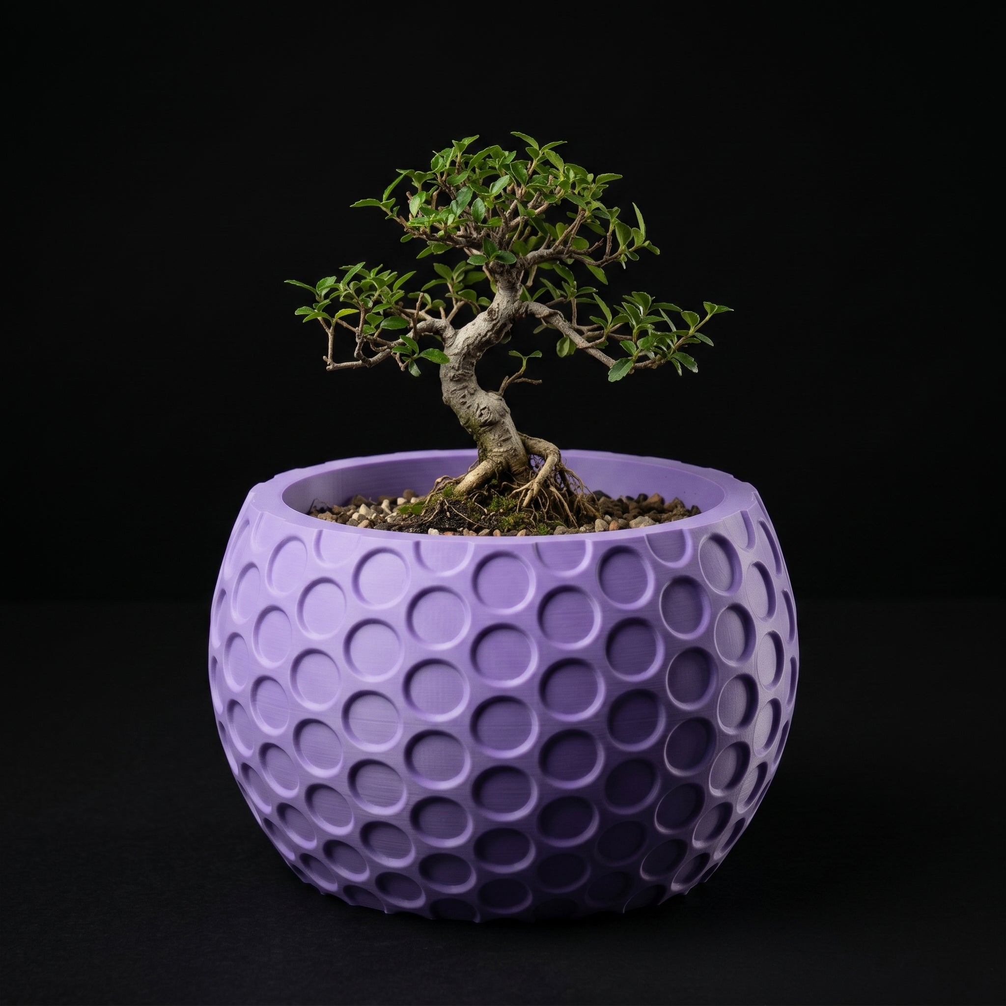 Vaso Lupter - Modern Minimal - 79.7mm Roxo — foto 21