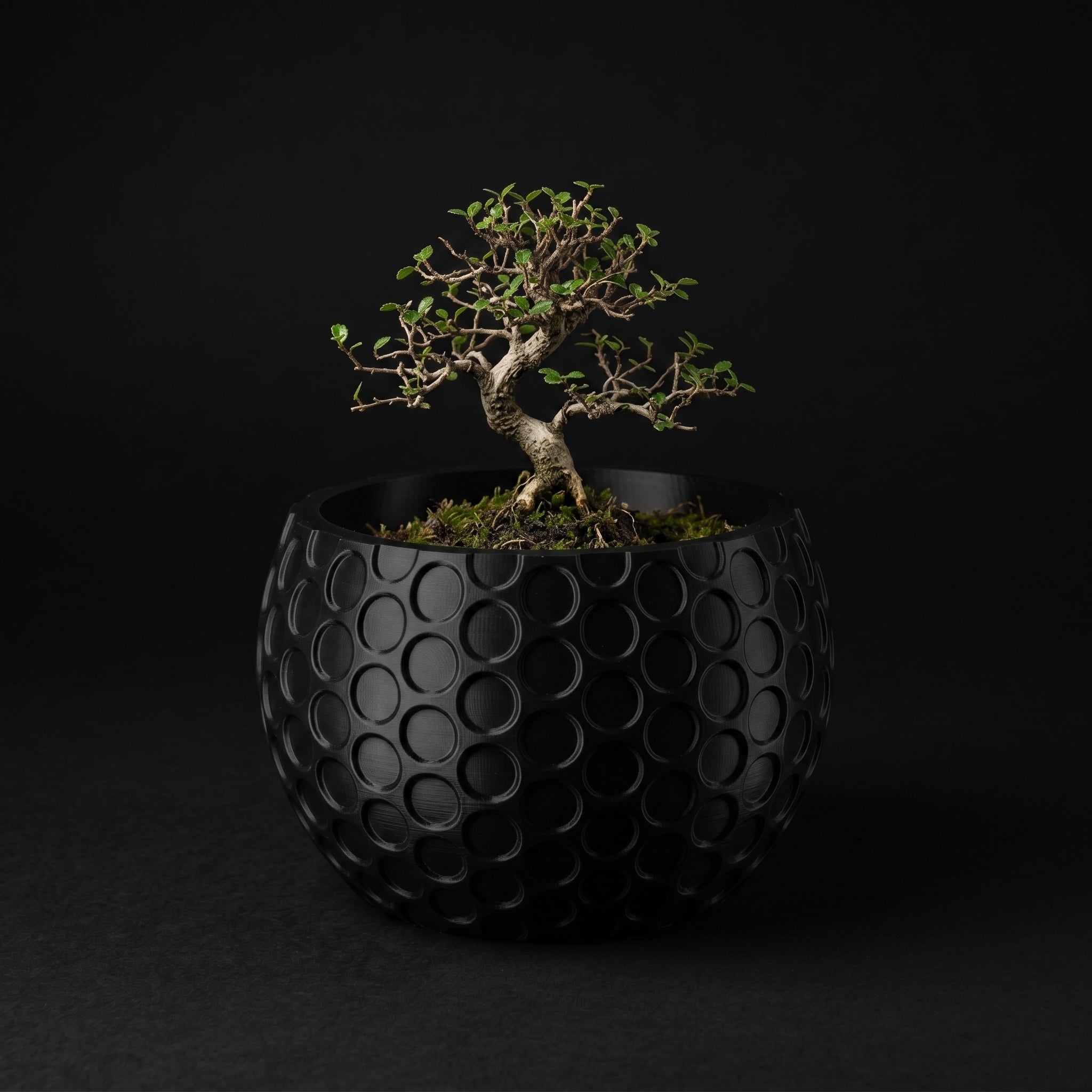 Vaso Lupter - Modern Minimal - 79.7mm Preto — foto 9