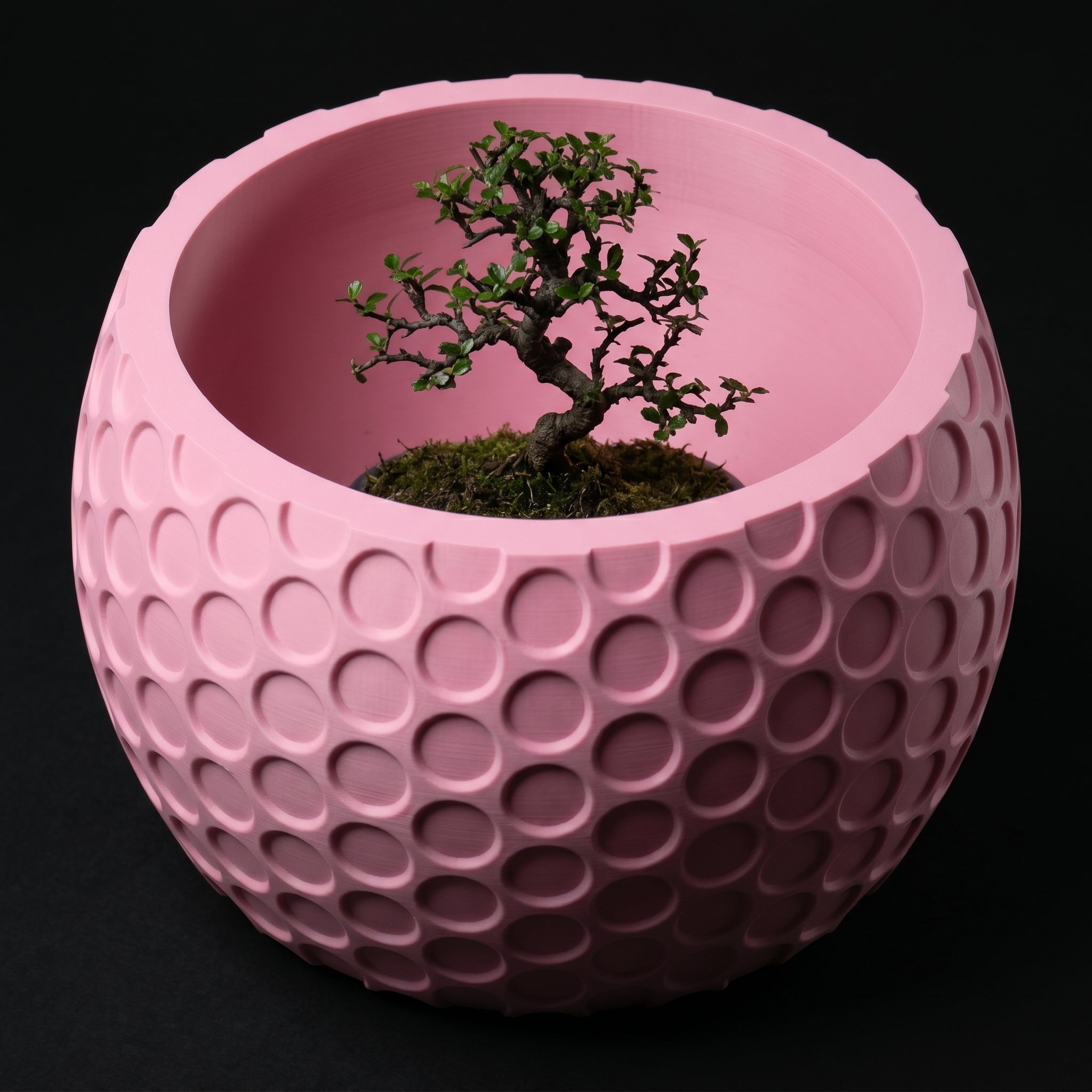 Vaso Lupter - Modern Minimal - 79.7mm Rosa — foto 2