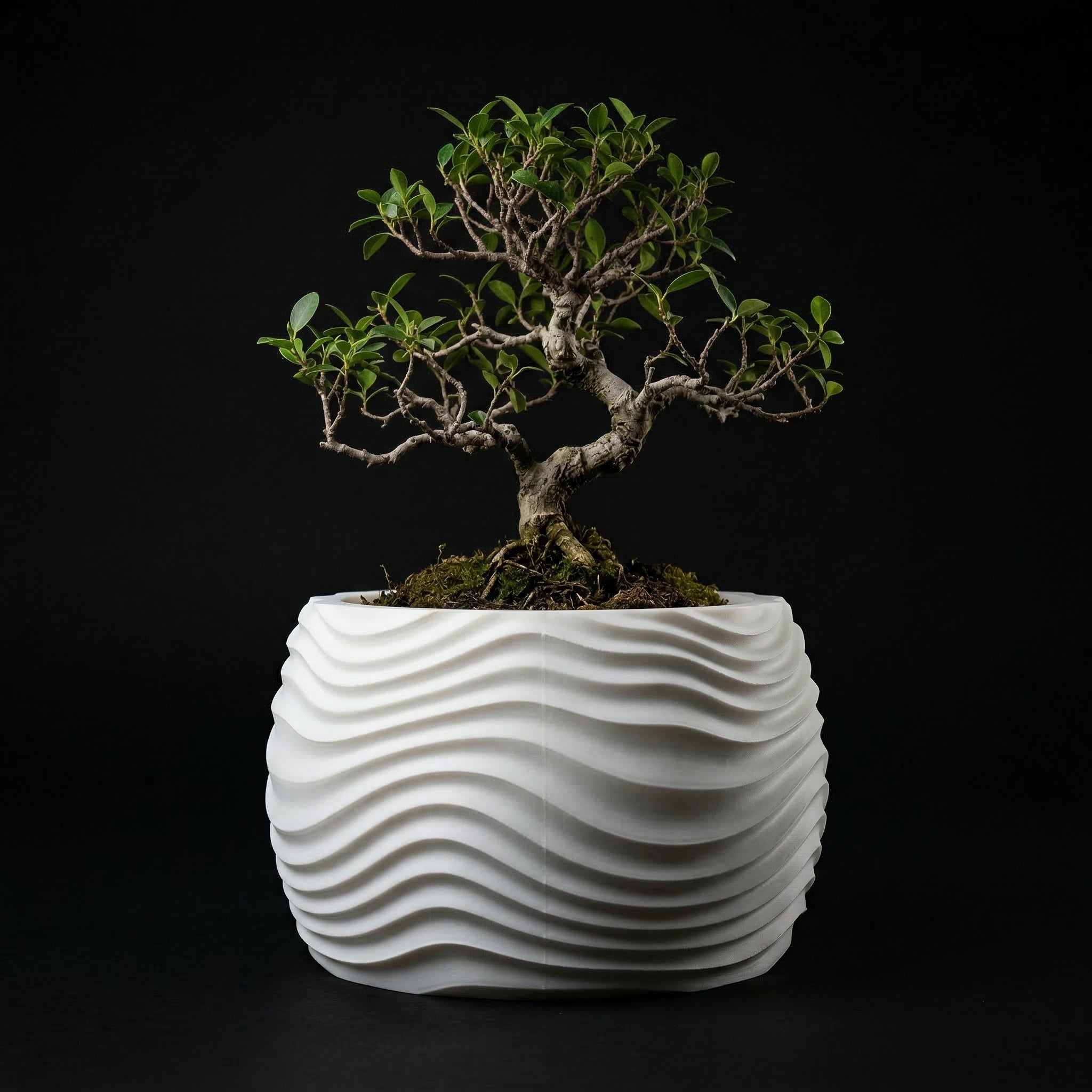 Vaso Muhen - Statement Decor - 72.6mm Branco — foto 36