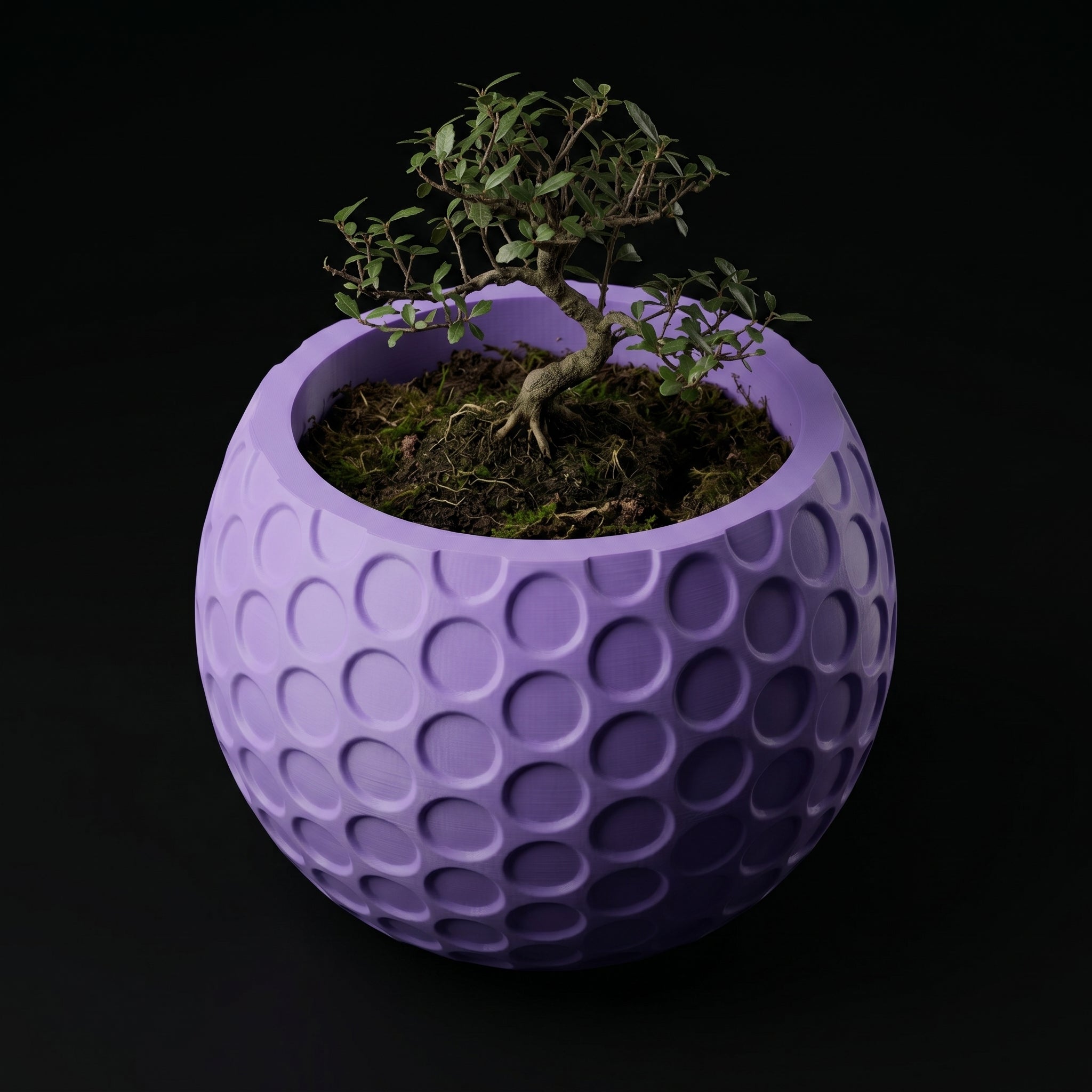 Vaso Lupter - Modern Minimal - 79.7mm Roxo — foto 20