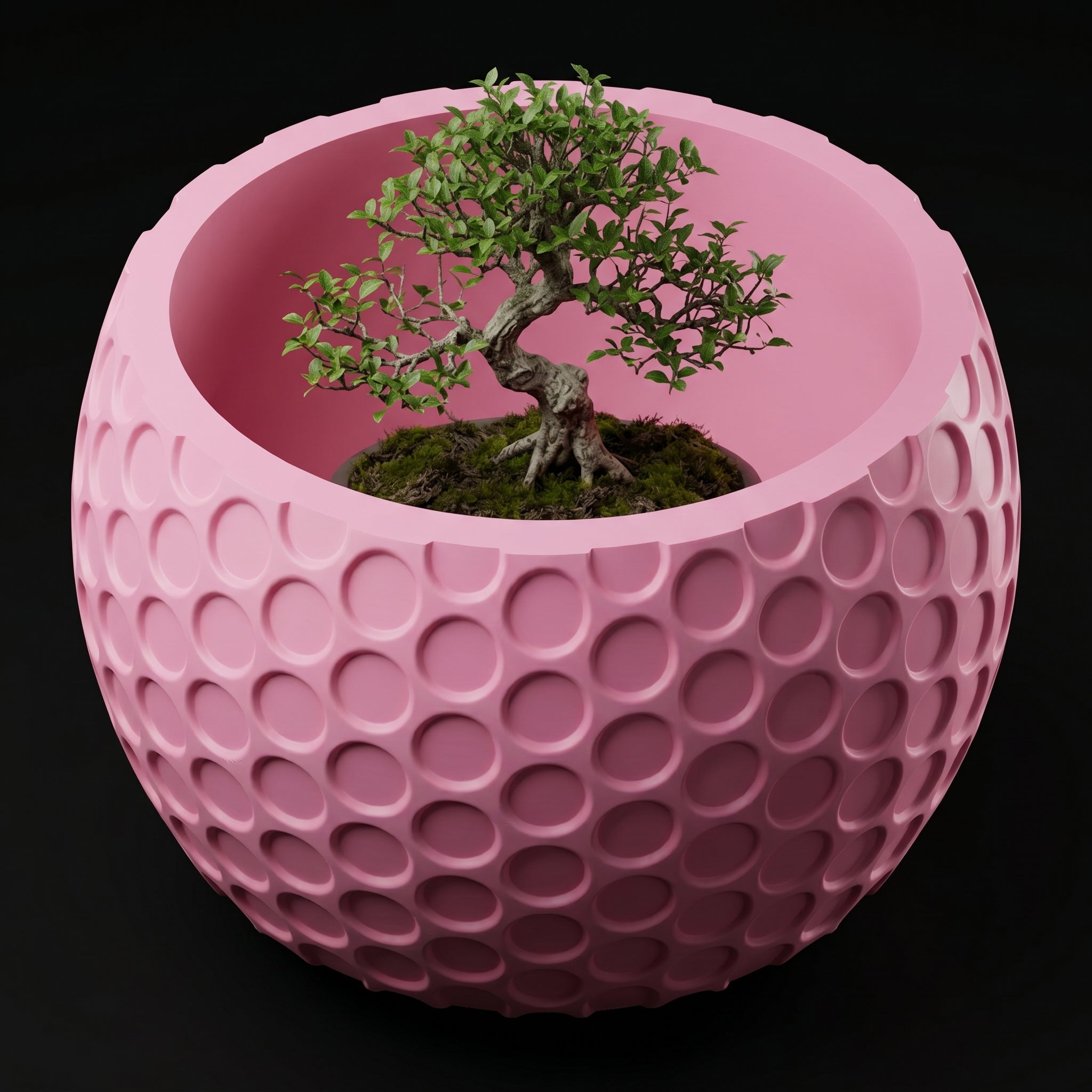 Vaso Lupter - Modern Minimal - 79.7mm Rosa — foto 3