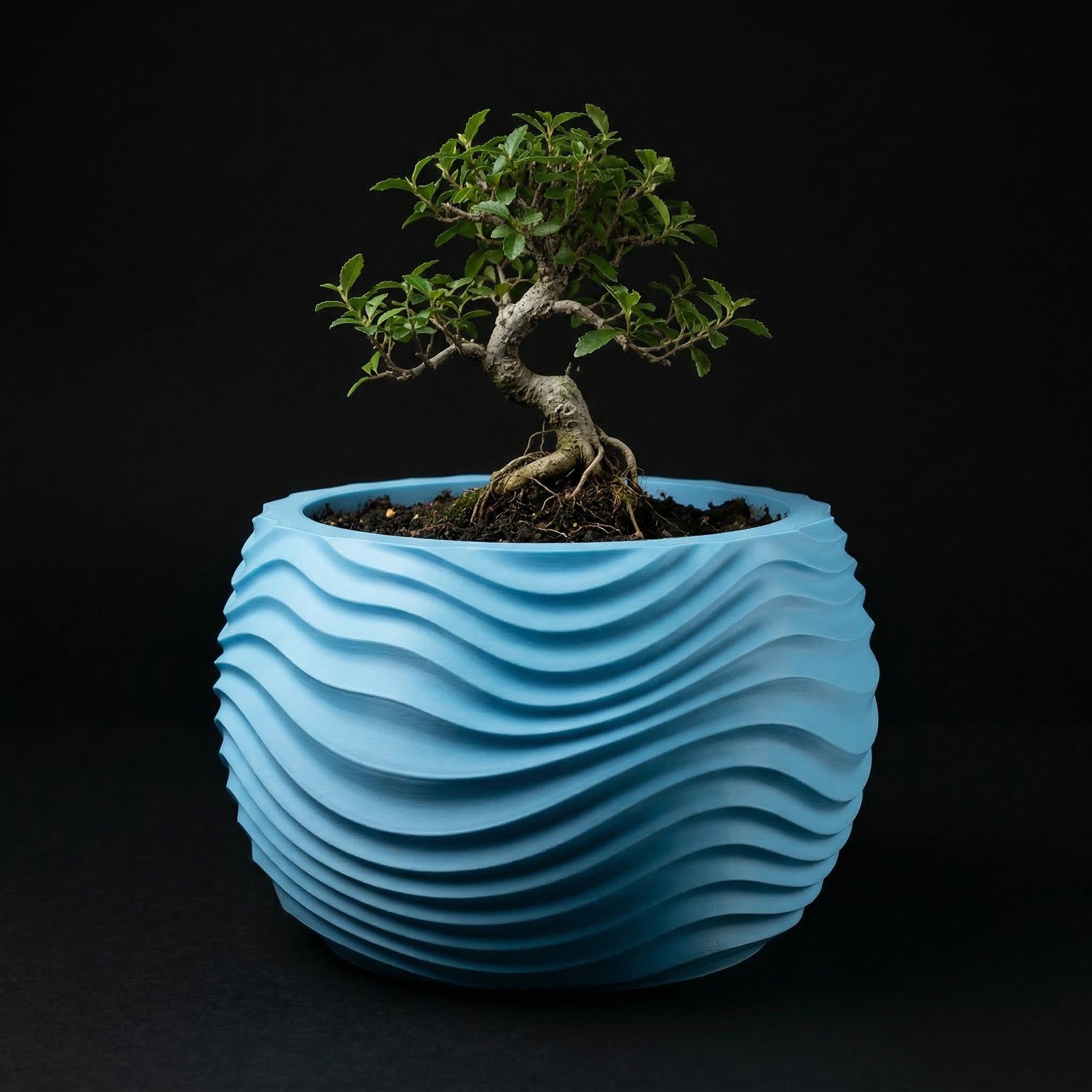 Vaso Muhen - Statement Decor - 72.6mm Azul — foto 11