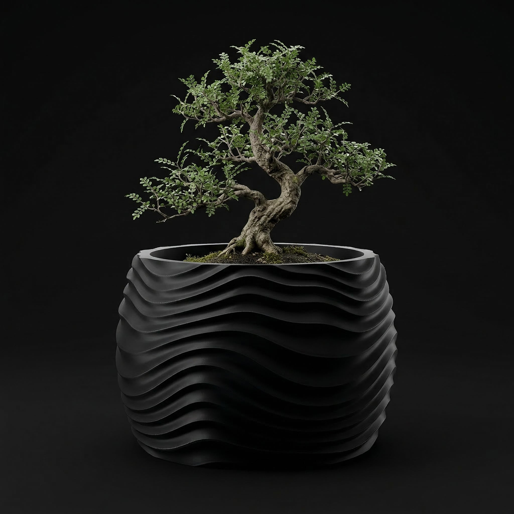 Vaso Muhen - Statement Decor - 72.6mm Preto — foto 46