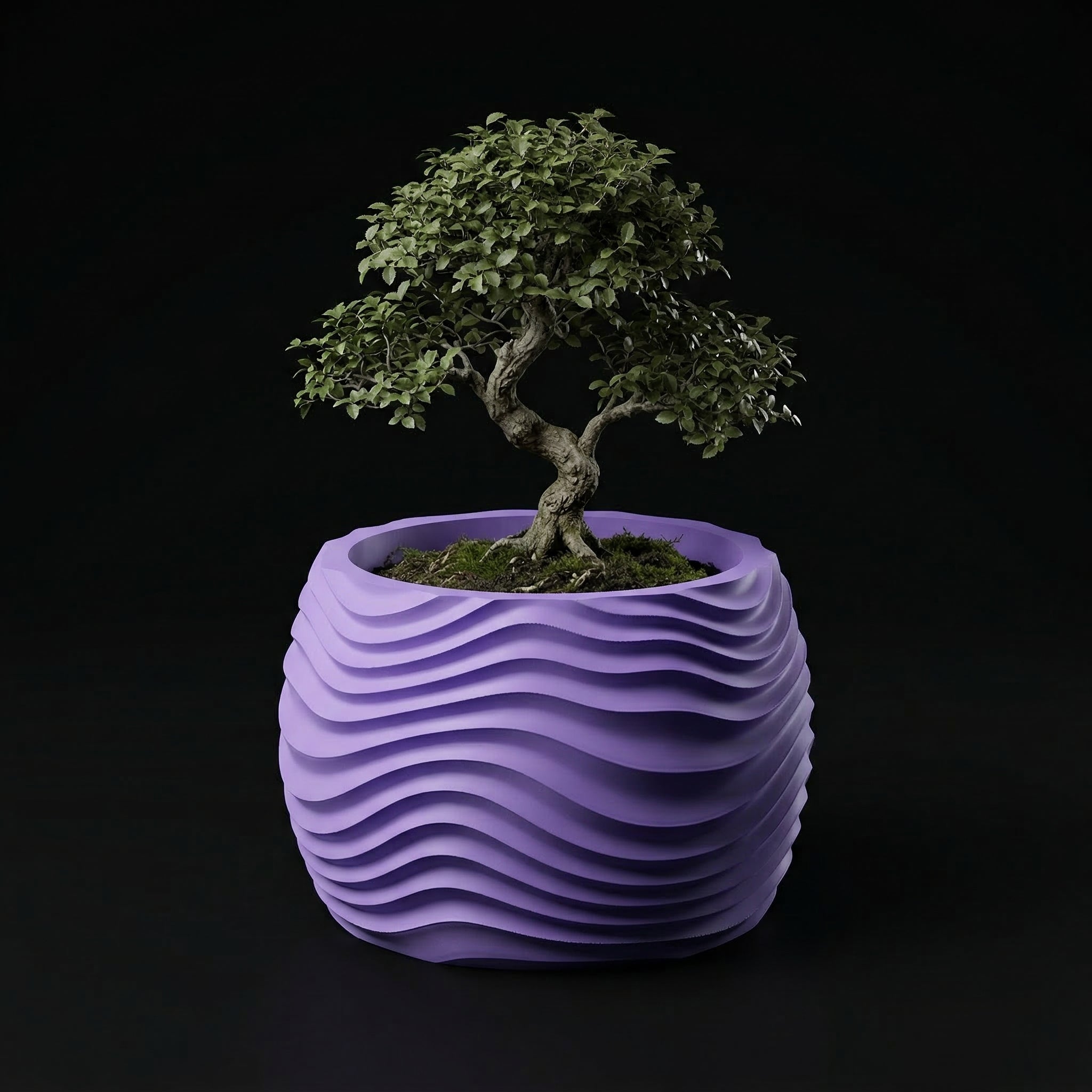 Vaso Muhen - Statement Decor - 72.6mm Roxo — foto 16