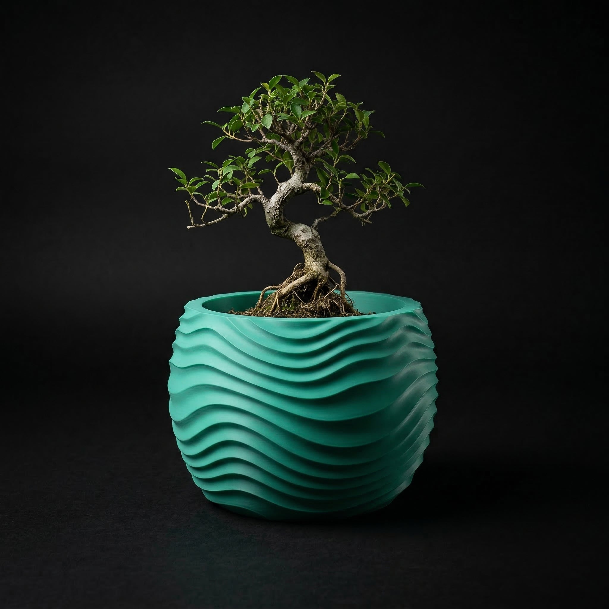 Vaso Muhen - Statement Decor - 72.6mm Verde — foto 4