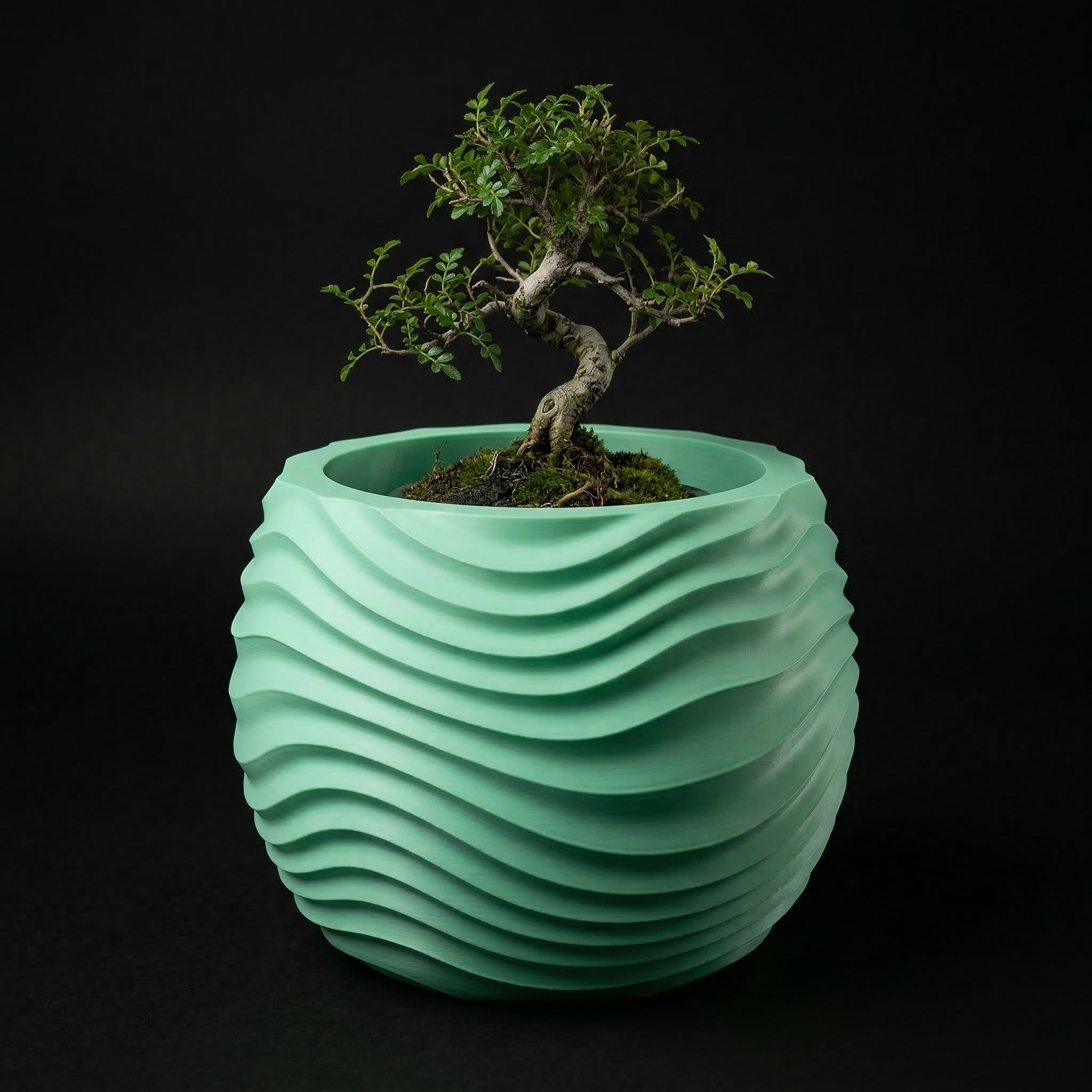 Vaso Muhen - Statement Decor - 72.6mm Verde — foto 1